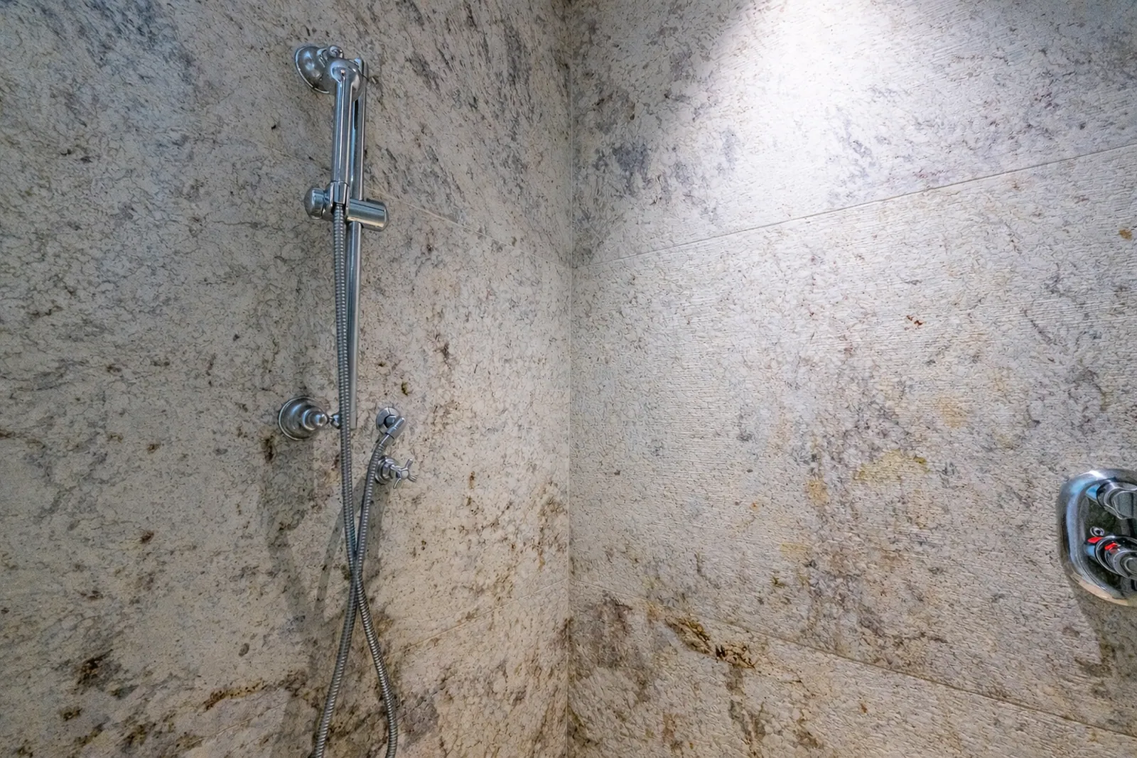 Walk-in shower lined in veined marble